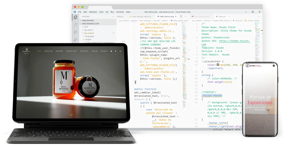 Diseño y desarrollo web